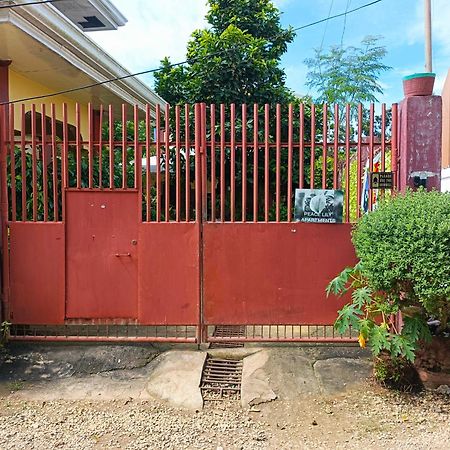 Peace Lily Studio Apartments パングラオ エクステリア 写真