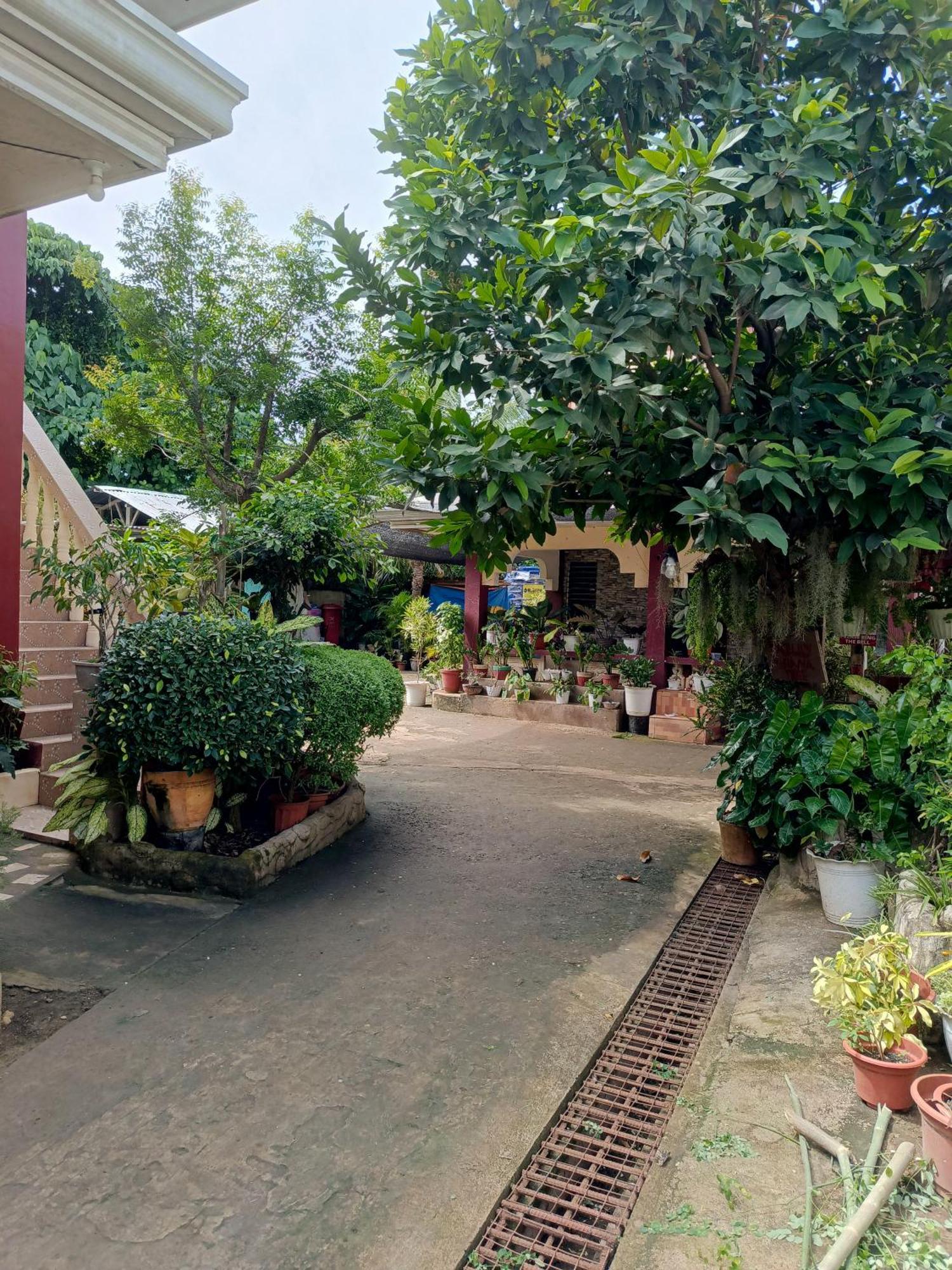 Peace Lily Studio Apartments パングラオ エクステリア 写真