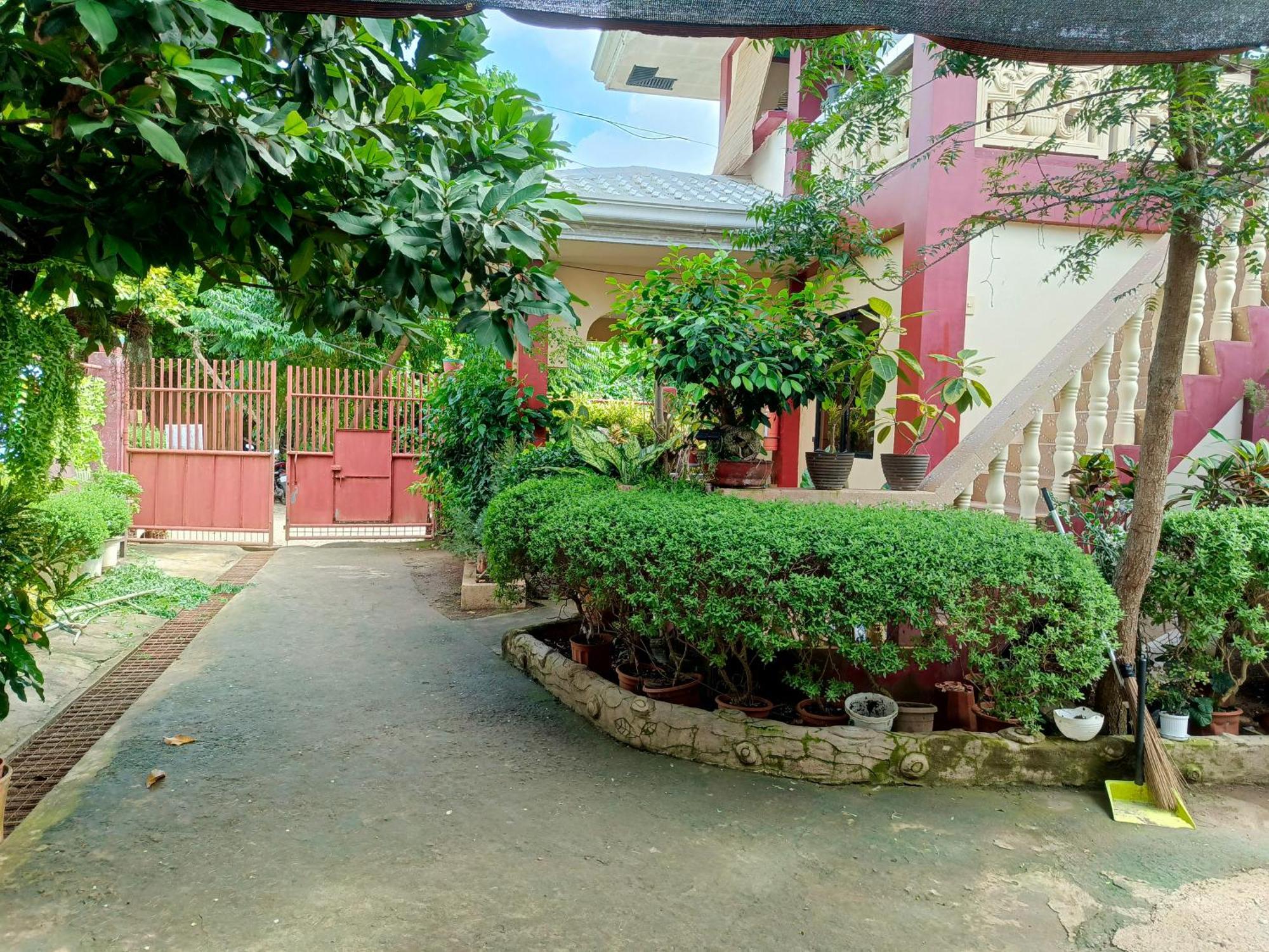Peace Lily Studio Apartments パングラオ エクステリア 写真