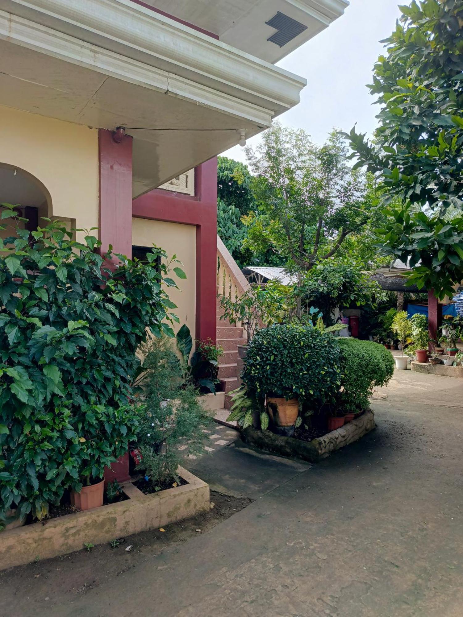 Peace Lily Studio Apartments パングラオ エクステリア 写真