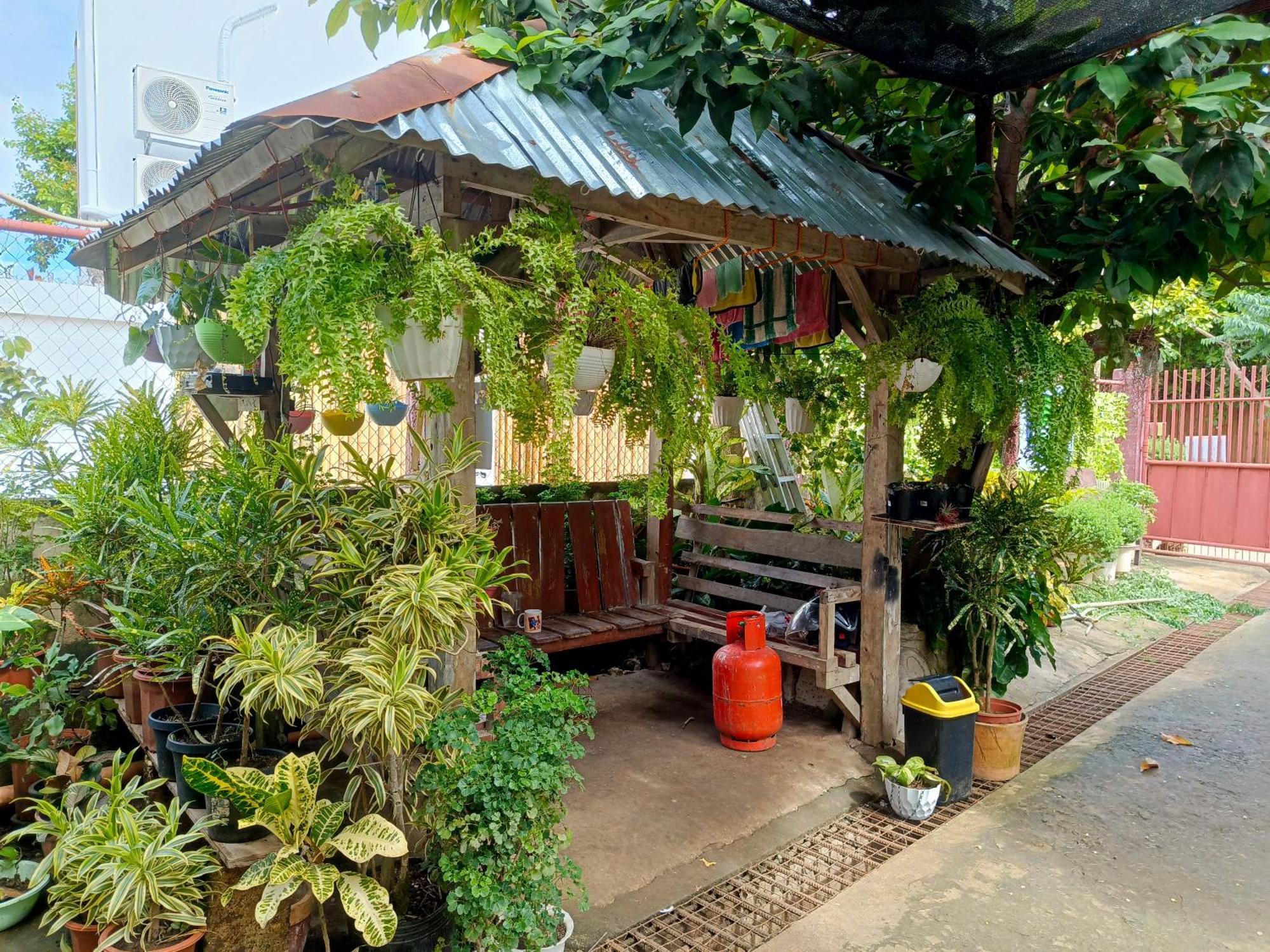 Peace Lily Studio Apartments パングラオ エクステリア 写真